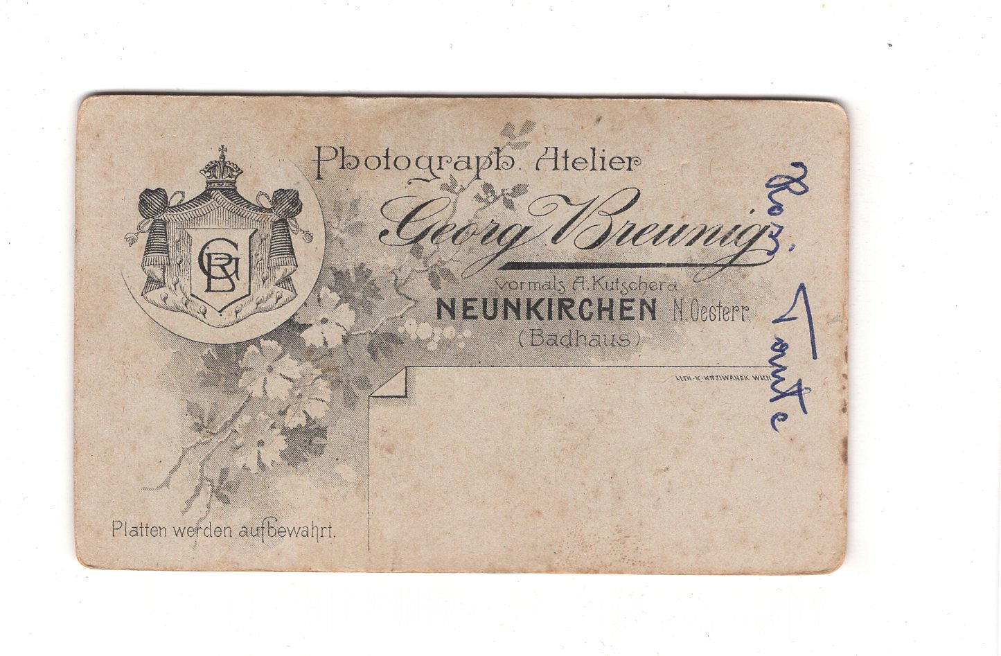 Fotografie Damenportrait - Neunkirchen / Österreich um 1900 / CDV C1-09