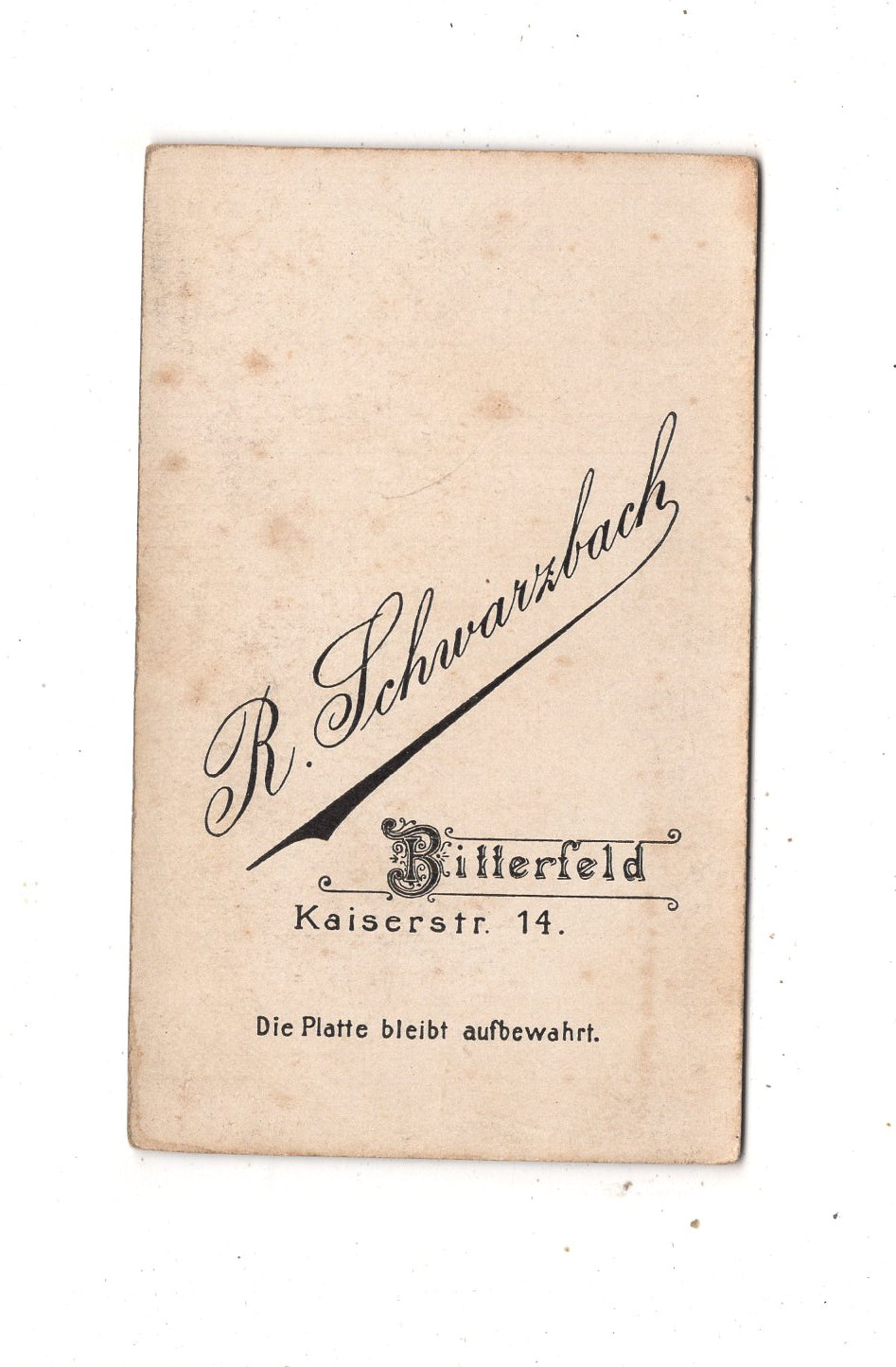 Fotografie Feine Dame - Bitterfeld um 1900
