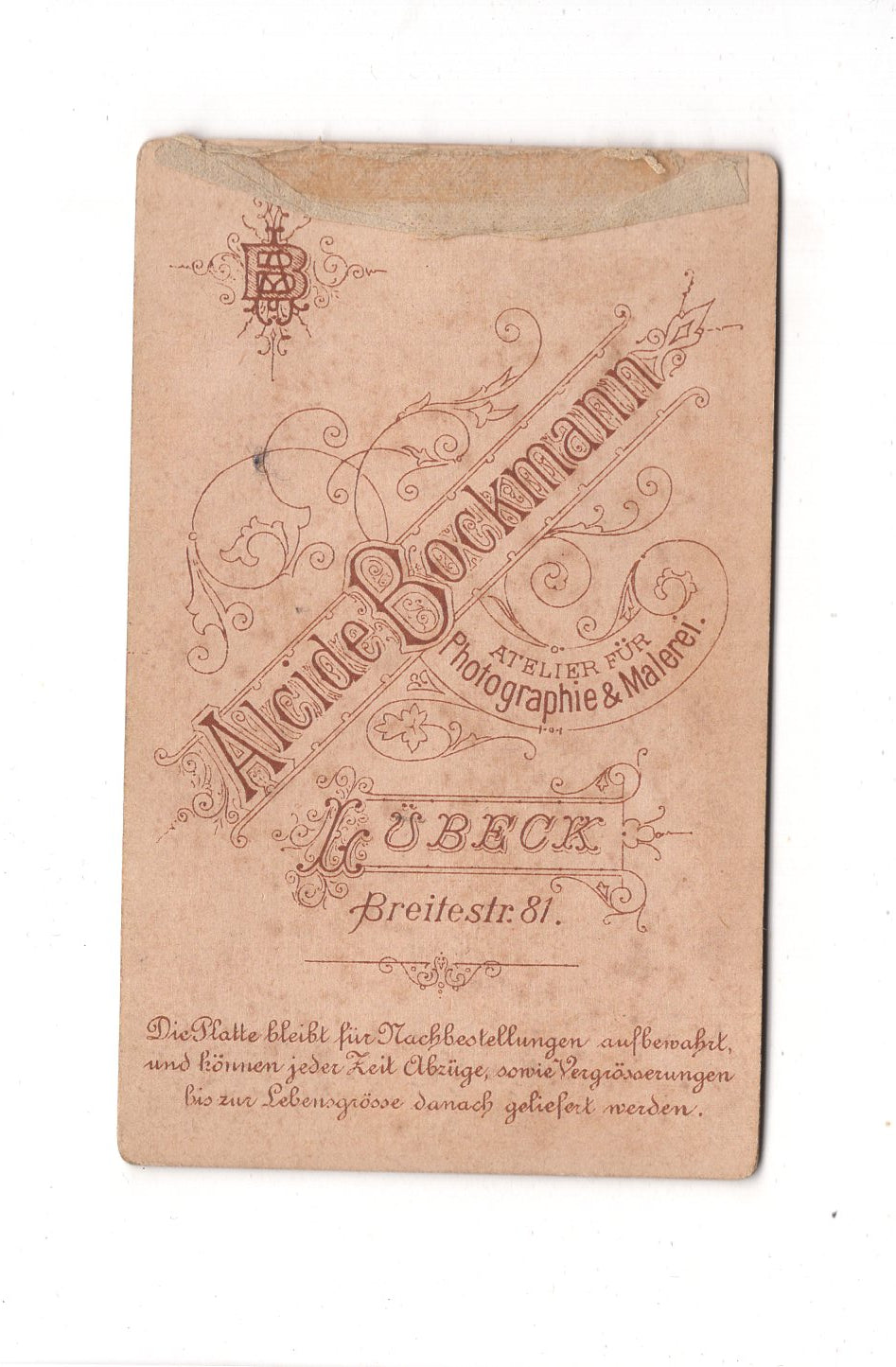 Fotografie Damenportrait - Lübeck 1880er / CDV C1-09