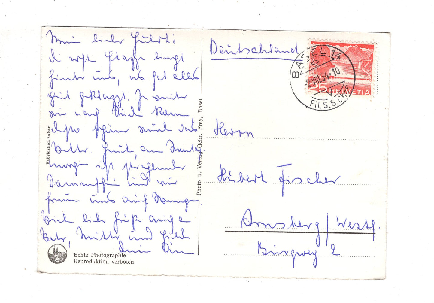 Ansichtskarte Basel / Pfalz am Rhein und Münster / Schweiz