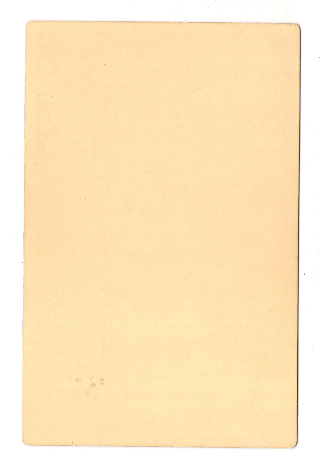 Fotografie Feiner Herr - Plauen im Vogtland um 1880 / CAB W-34