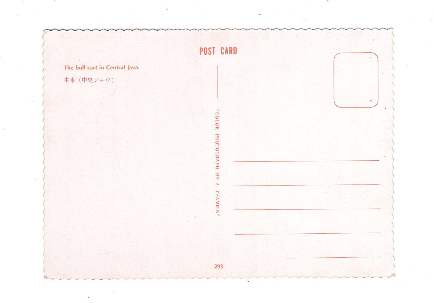 Ansichtskarte The bull cart in Central Java / Indonesien