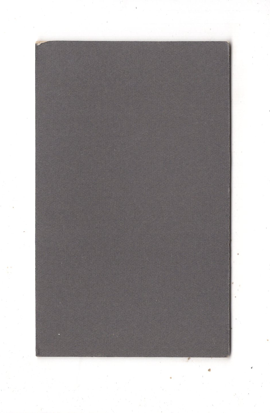 Fotografie Damenportrait - Krefeld um 1900