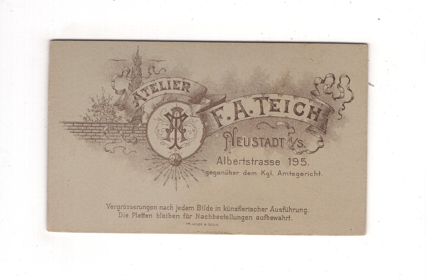 Fotografie Feine Dame - Neustadt in Sachsen um 1900 / CDV L1-31