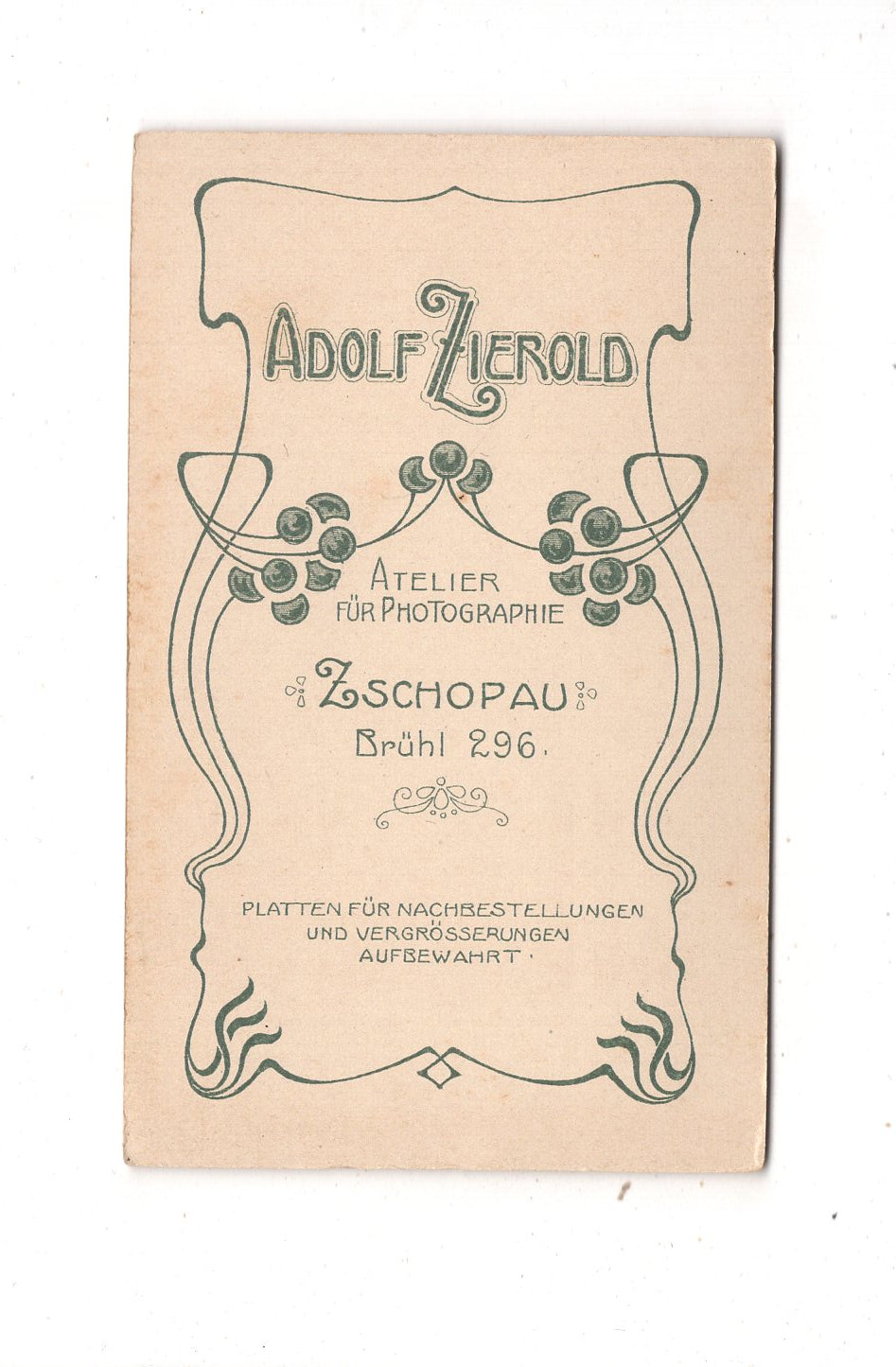Fotografie Feine Dame - Zschopau 1890er / CDV L1-32