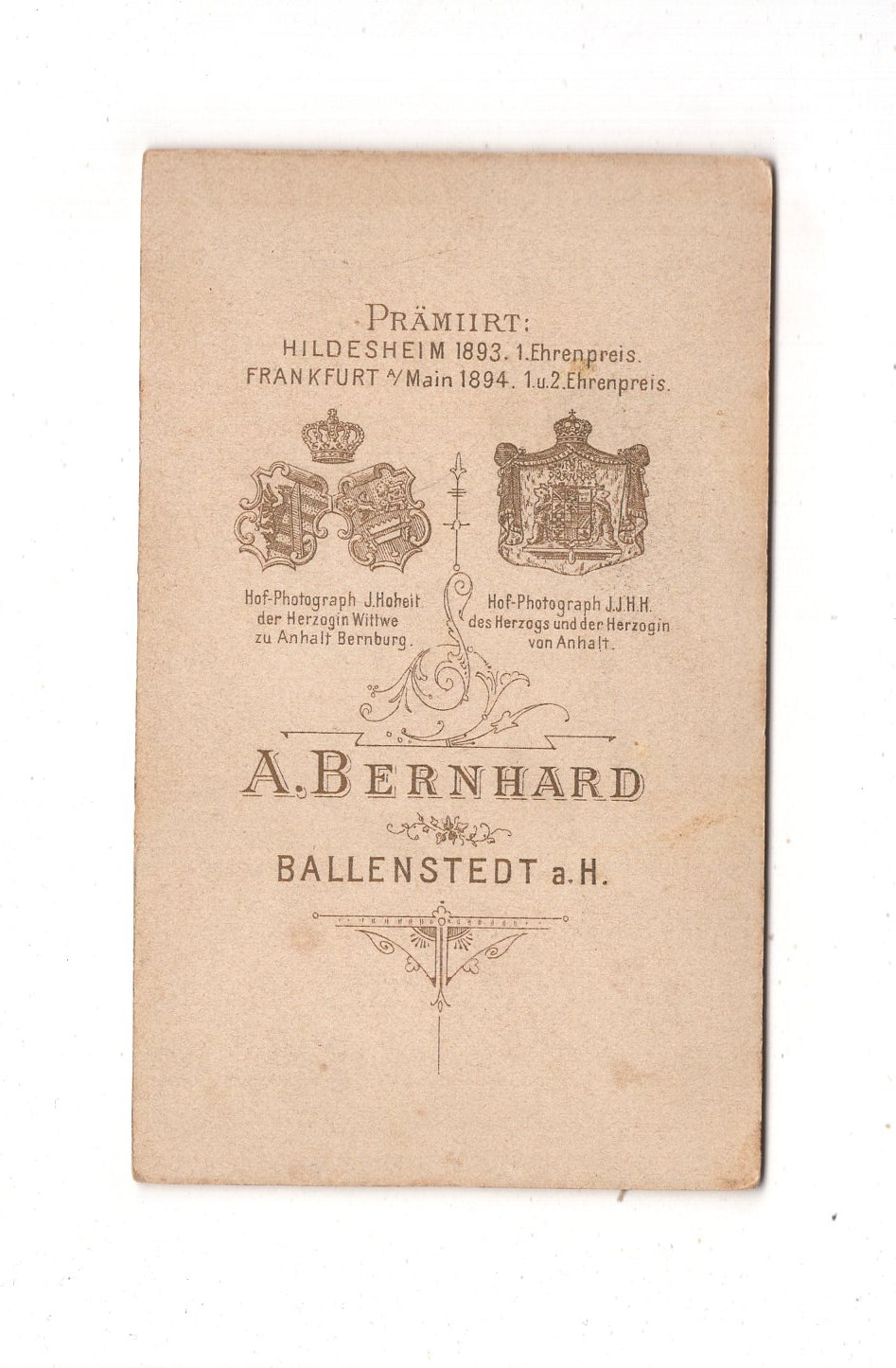 Fotografie Niedlicher kleiner Junge - Ballenstedt 1890er / CDV M1-13