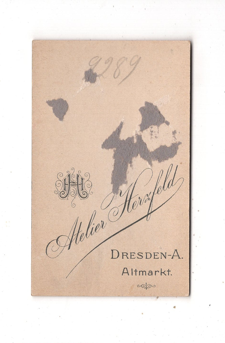 Fotografie Niedliche kleine Kinder - Dresden 1890er