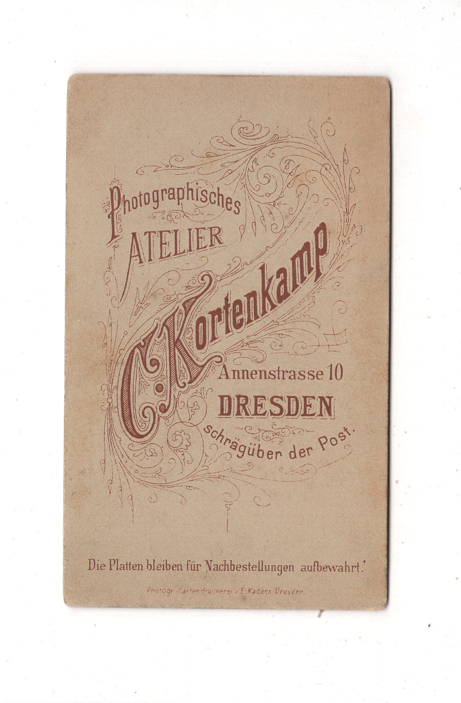 Fotografie Feine Dame - Dresden 1880er / CDV L1-32