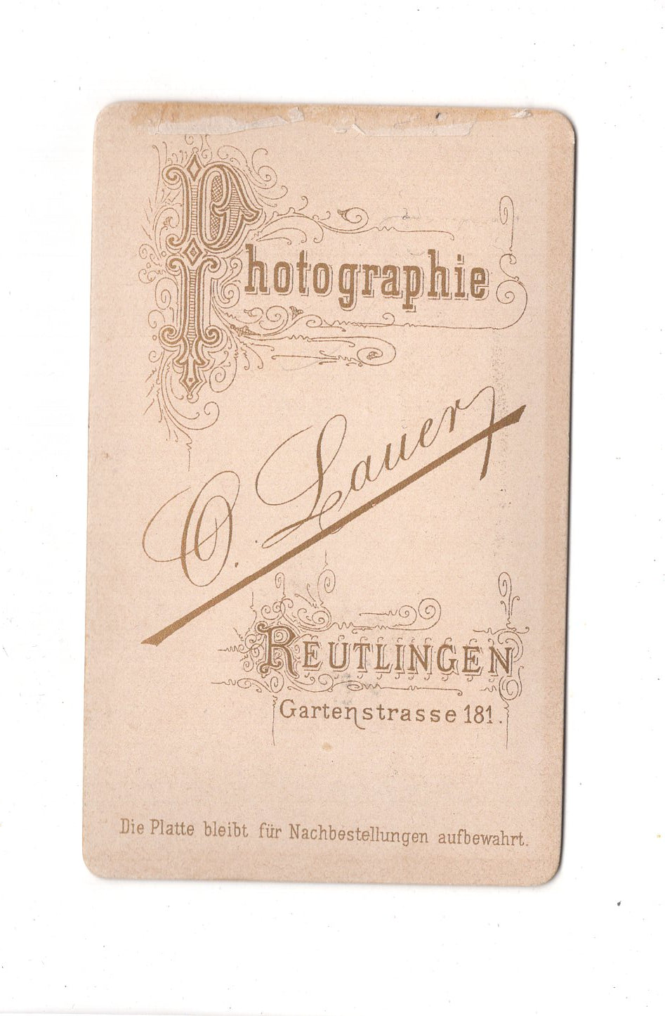 Fotografie Damenportrait - Reutlngen 1880er / CDV C1-11