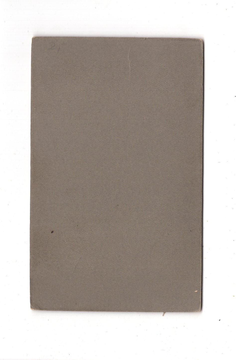 Fotografie Feine Dame - Pfaffenhofen 1910er / CDV L1-32