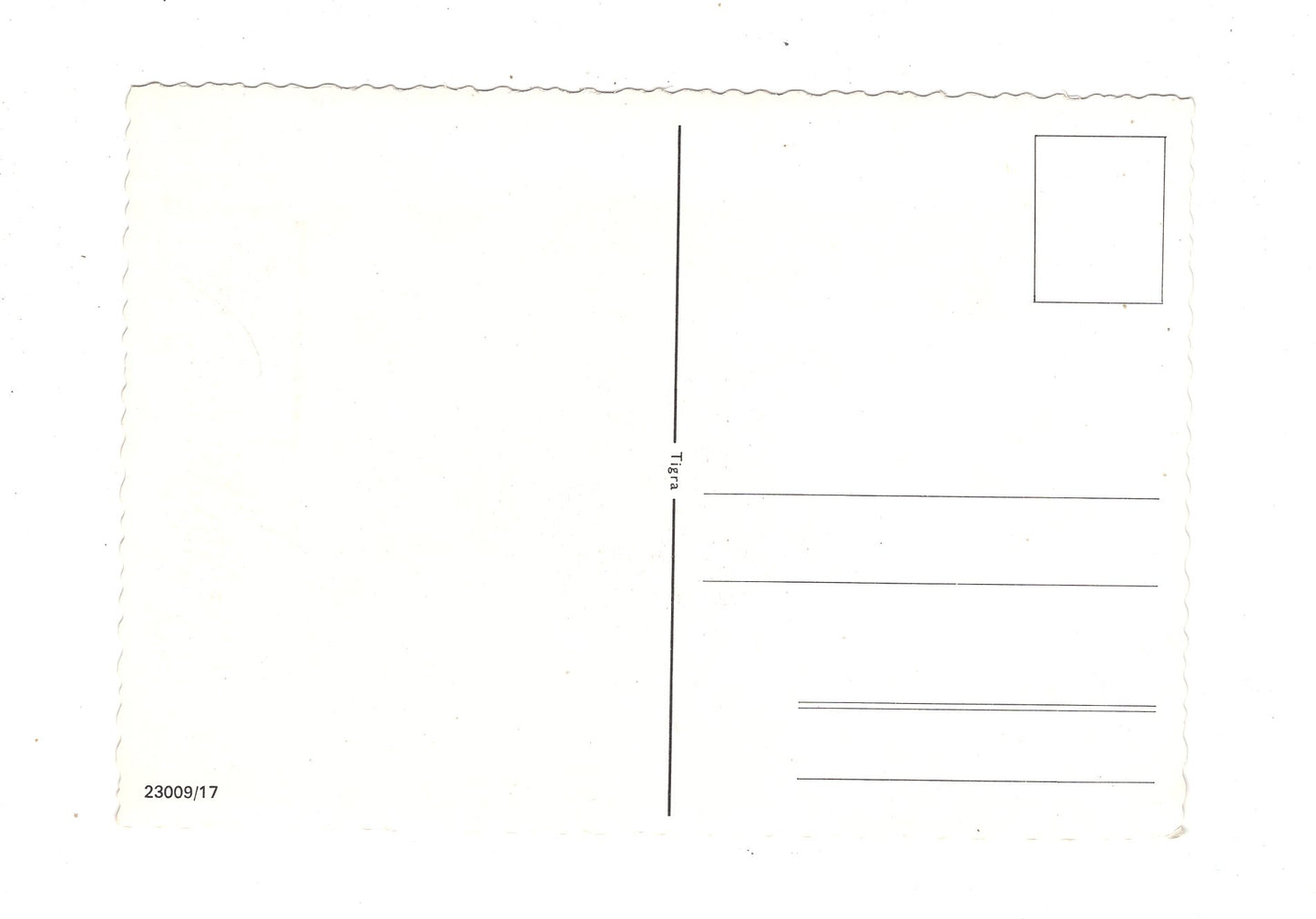 Ansichtskarte Glückwünsche / Glückwunsch zum Namenstag / L1-63