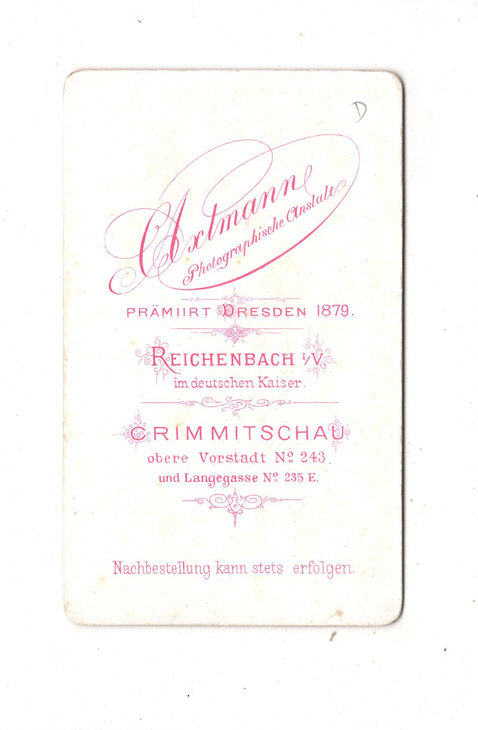 Fotografie Feine Dame - Reichenbach / Crimmitschau 1880er / CDV L1-33