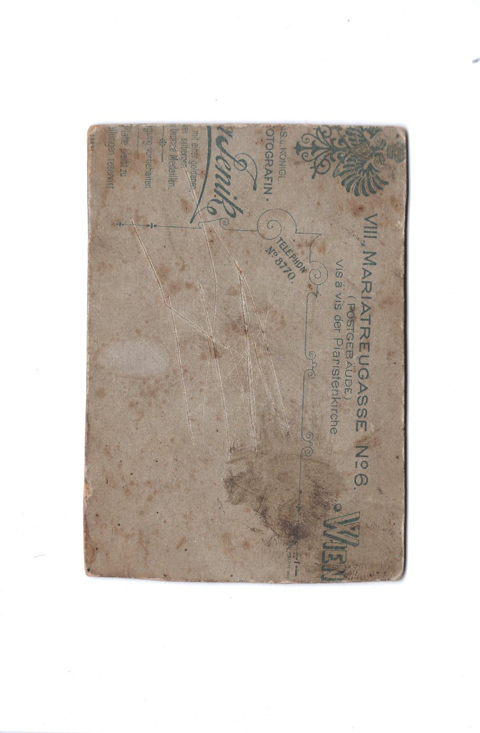 Fotografie Herrenportrait - Wien um 1900