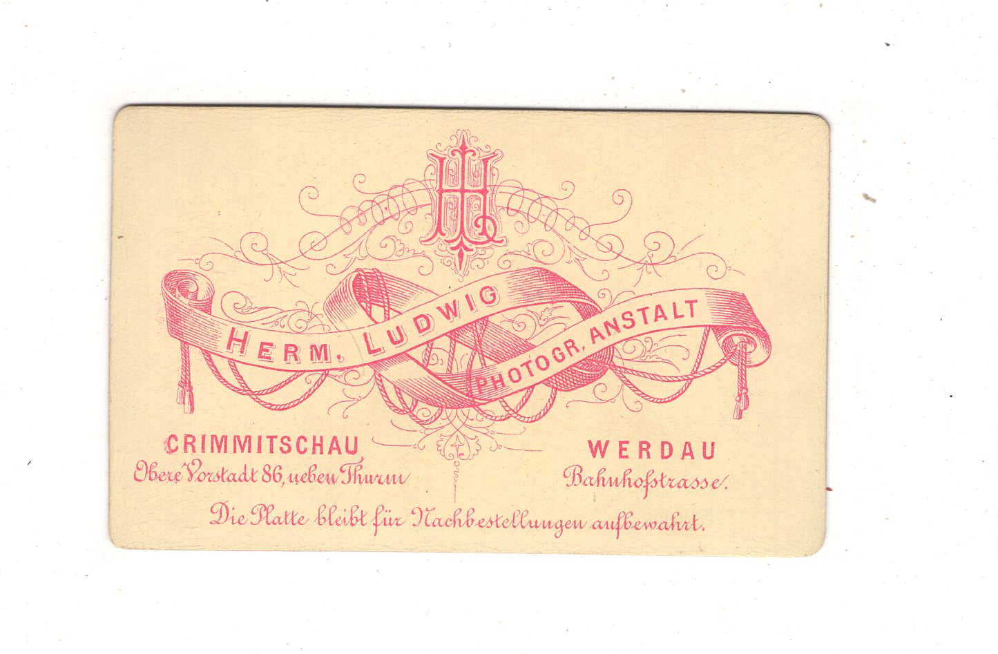 Fotografie Feine Dame - Crimmitschau / Werdau 1870er / CDV L1-33