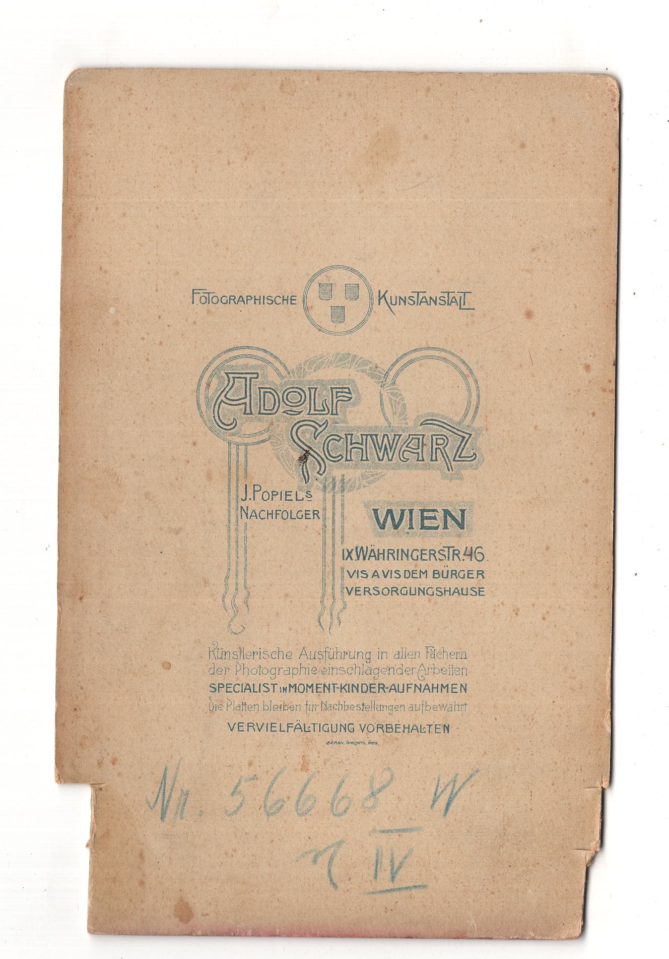 Fotografie Feine Dame - Wien 1900er