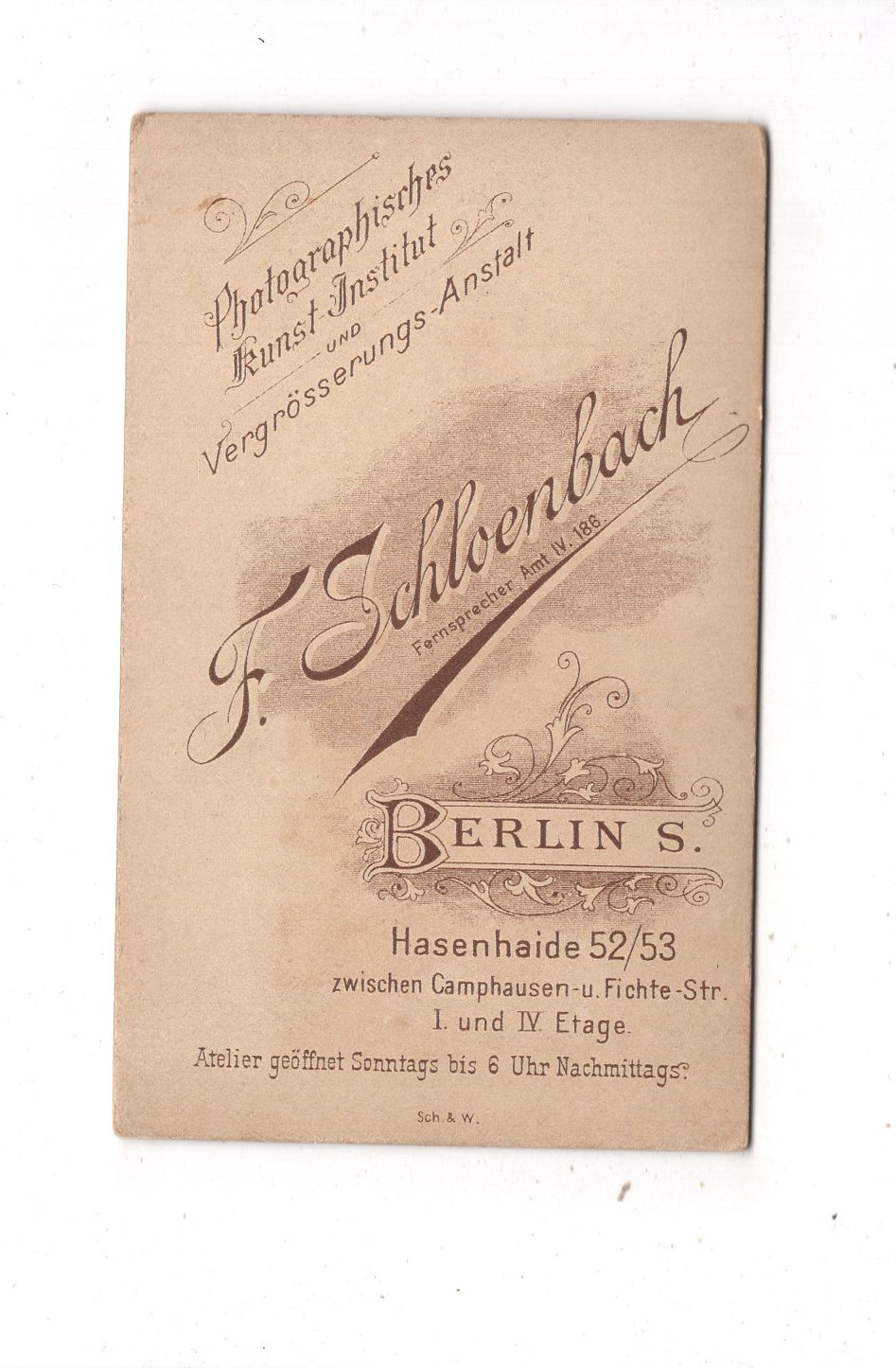 Fotografie Feine Dame - Berlin 1890er / CDV L1-33