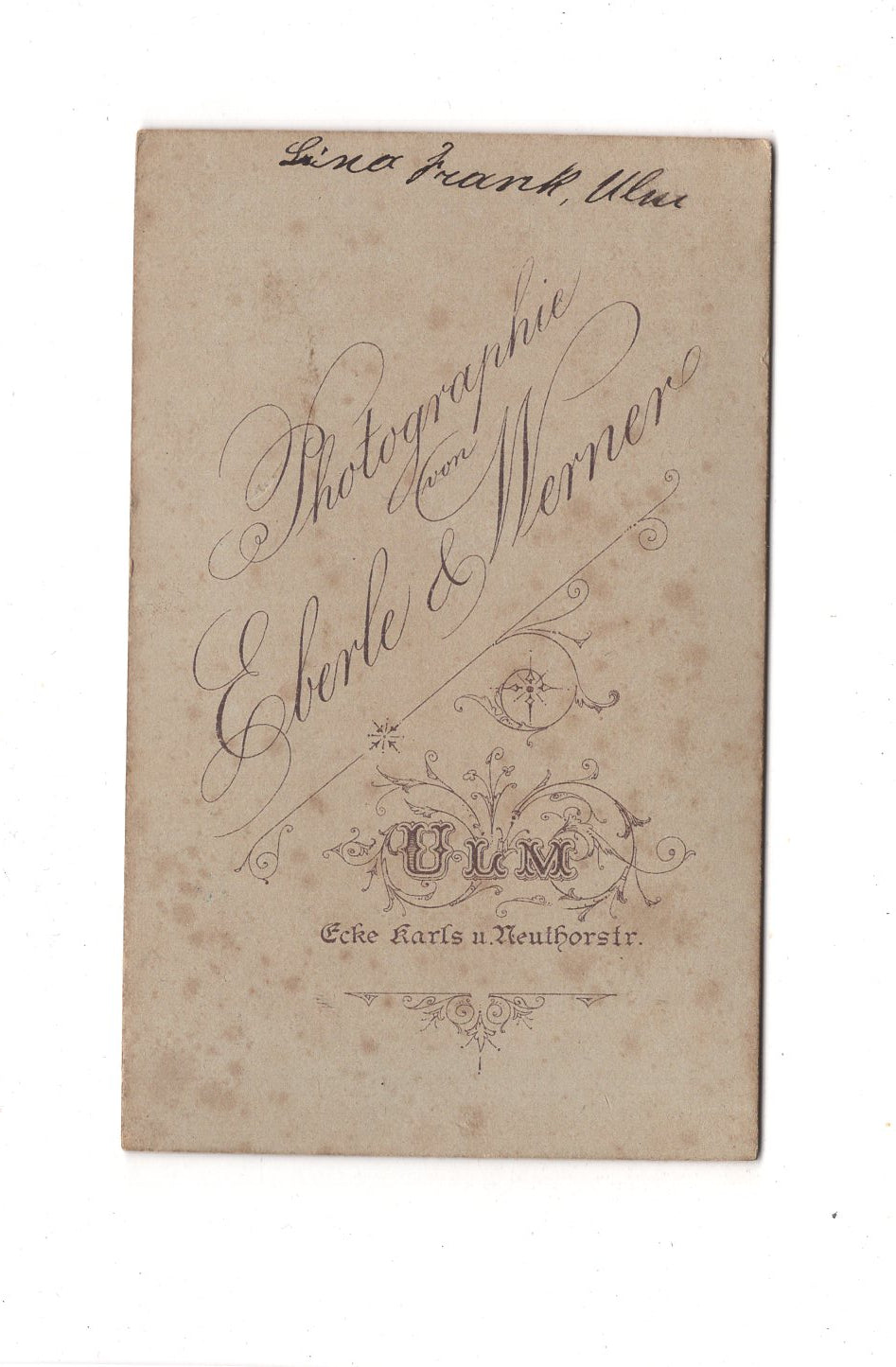 Fotografie Damenportrait / benannt - Ulm 1880er / CDV C1-12
