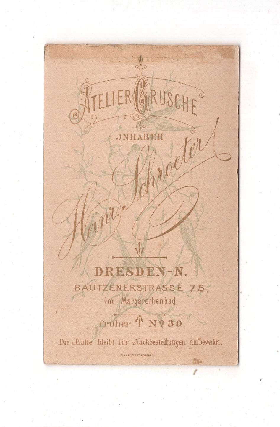 Fotografie Feine Dame - Dresden 1890er / CDV L1-33