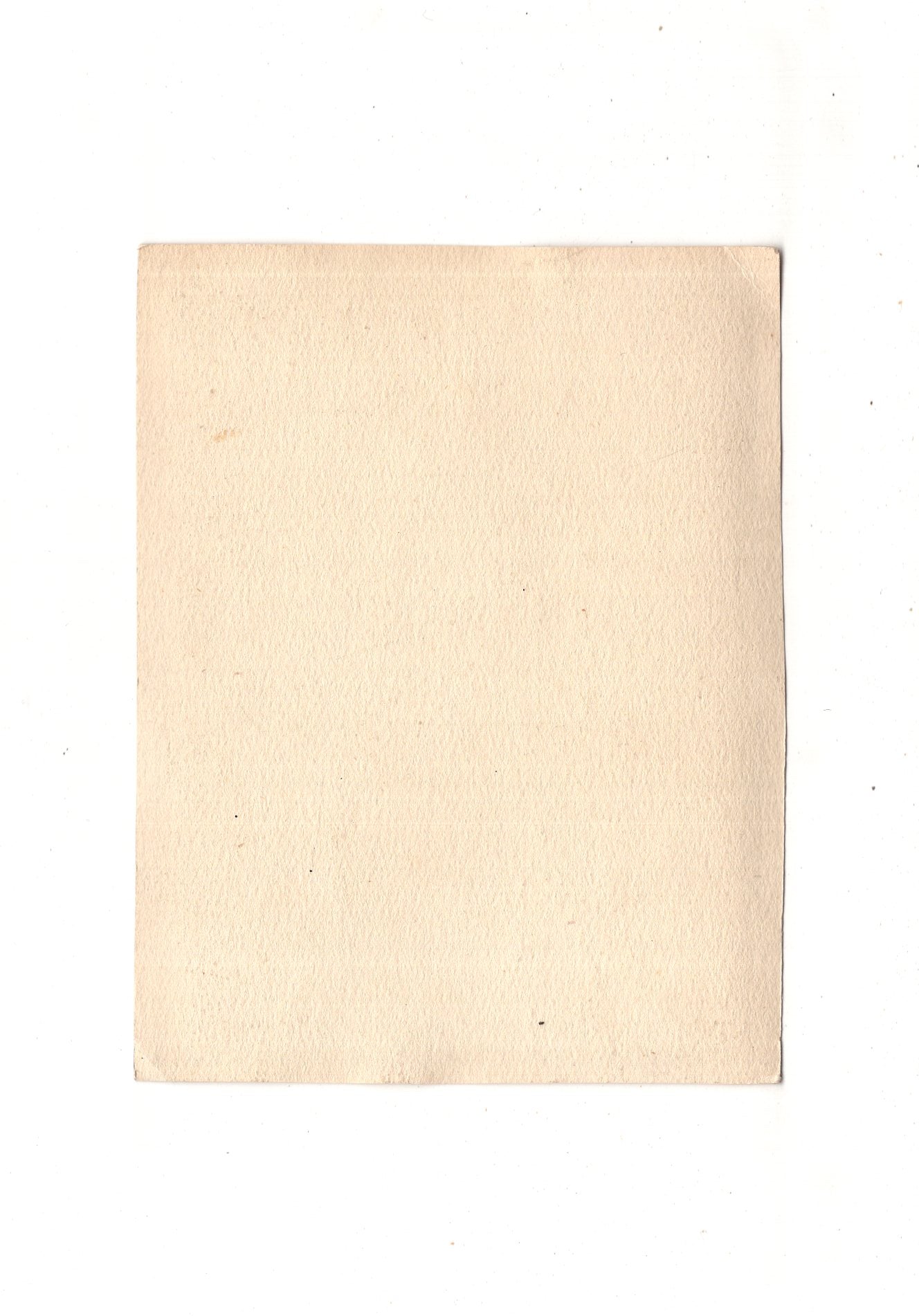 Fotografie Feine Damen am Tisch