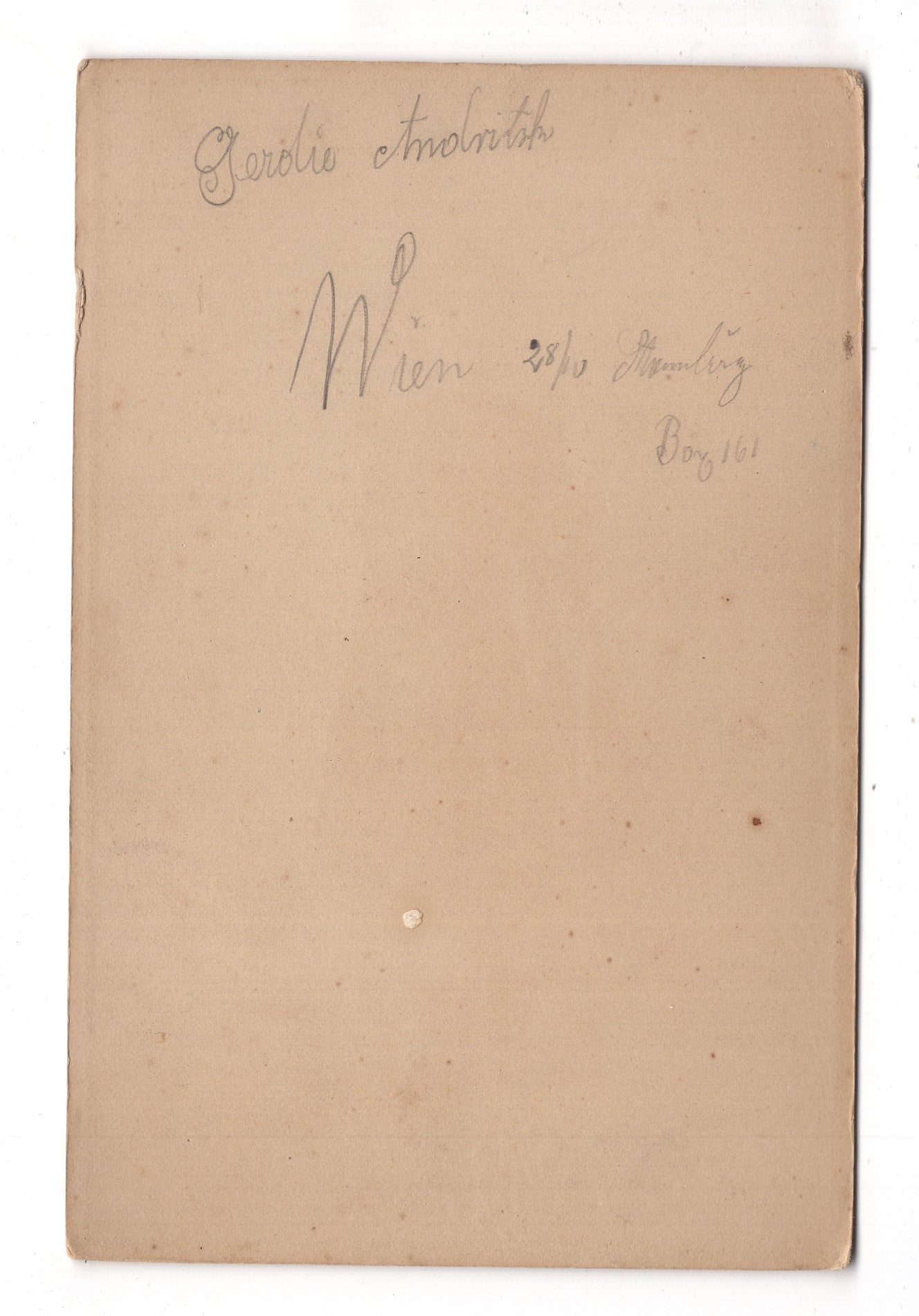 Fotografie Feiner Herr / benannt - Iron Mountain / USA 1890er