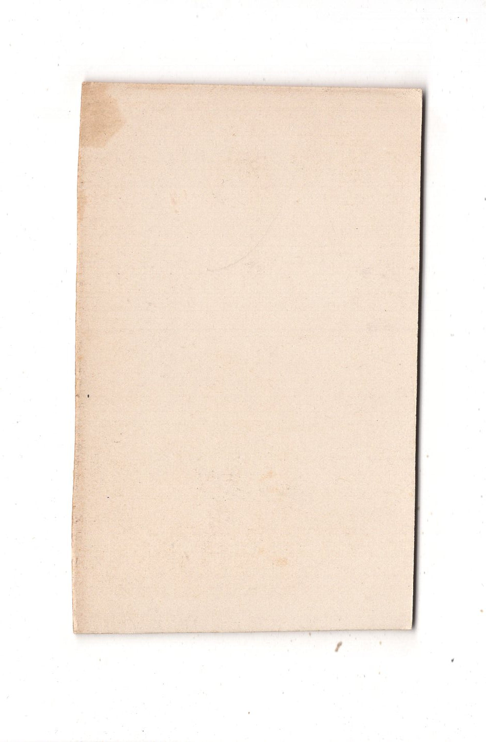 Fotografie Feine Dame - Diez an der Lahn um 1900 / CDV L1-34