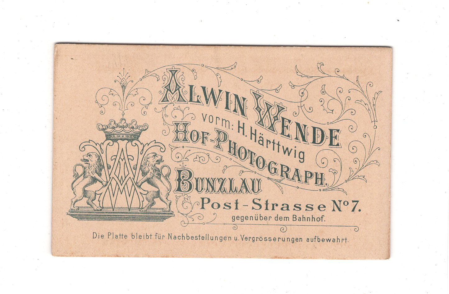 Fotografie Damenportrait - Bunzlau - Boleslawiec 1890er / CDV C1-13