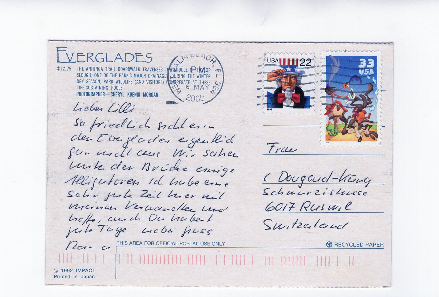 Ansichtskarte Everglades / Florida / USA