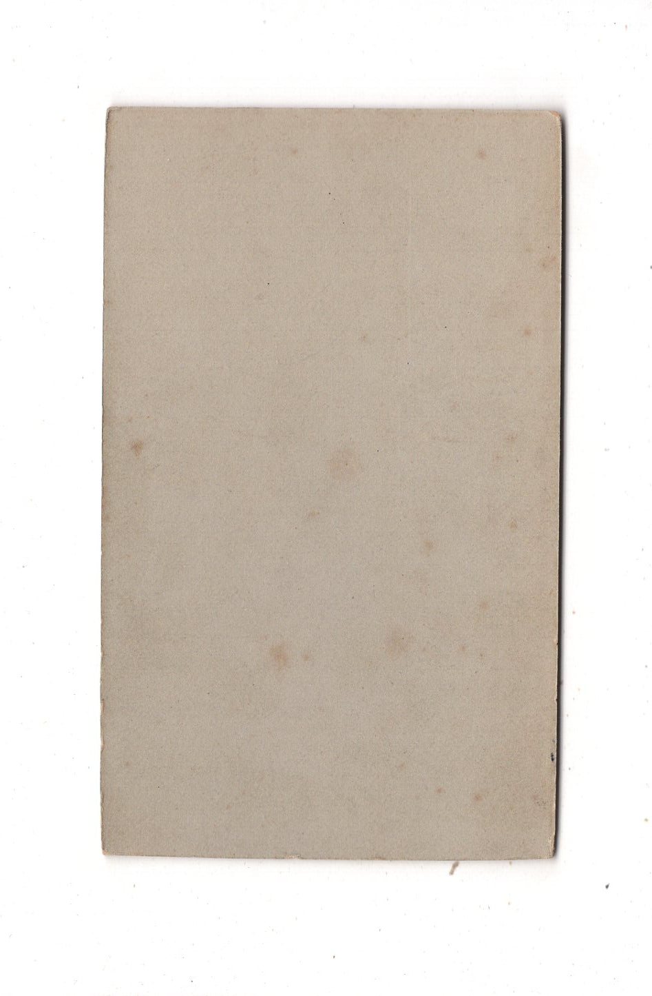 Fotografie Feine Dame - unbekannter Ort 1890er / CDV L1-34