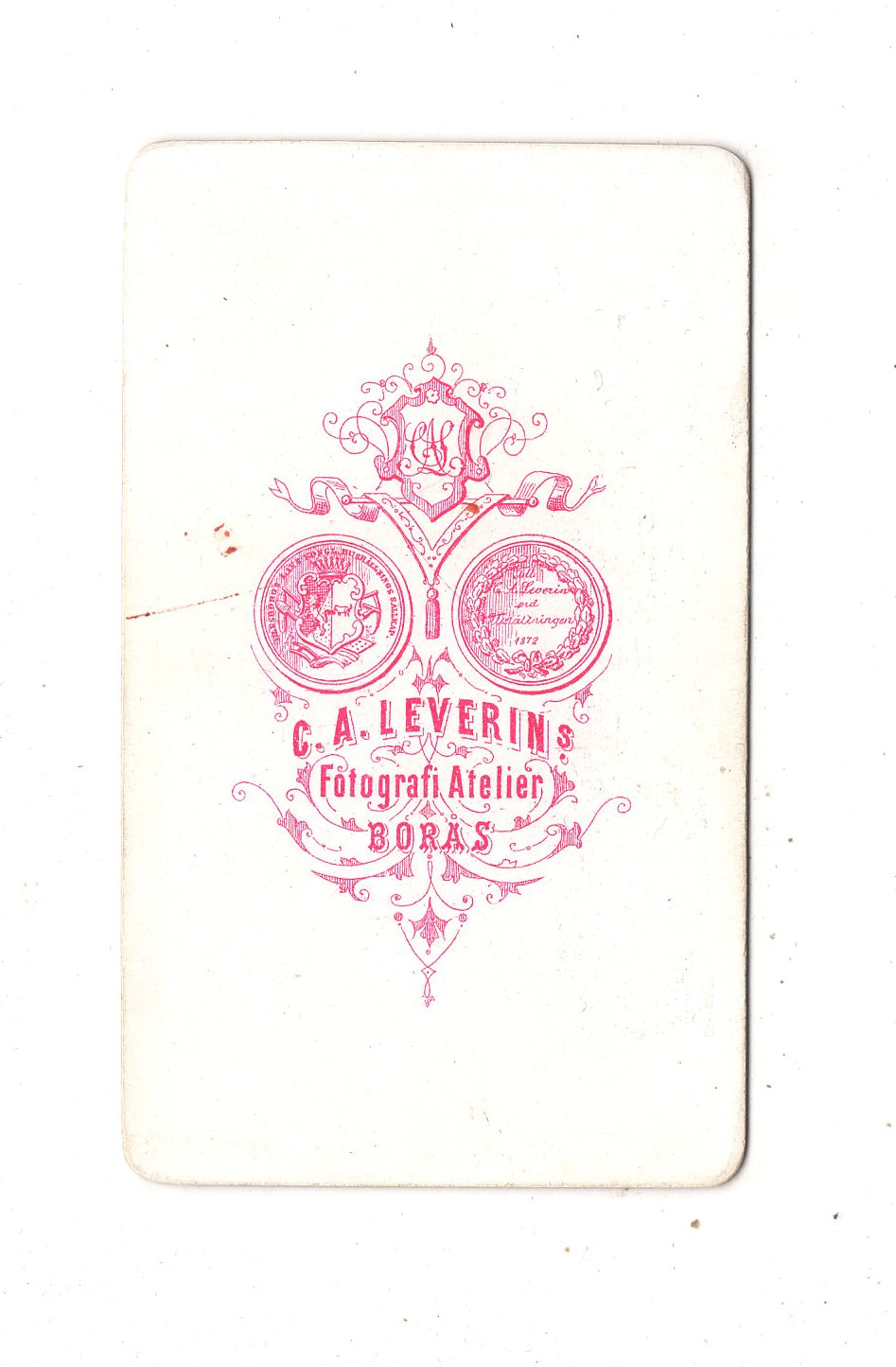 Fotografie Herrenportrait - Boras / Schweden 1870er