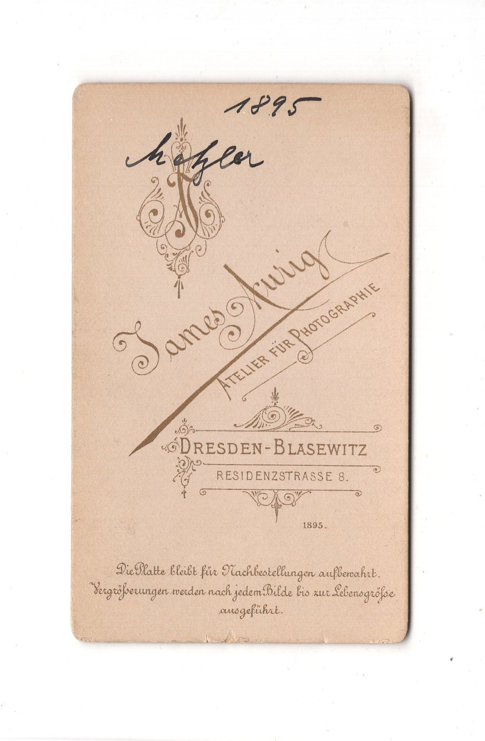 Fotografie Damenportrait - Dresden-Blasewitz 1895 / CDV C1-13