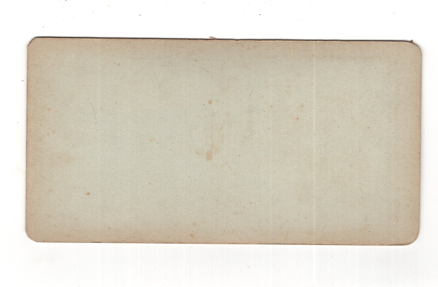 Fotografie Mann und Junge in einem Garten - unbekannter Ort