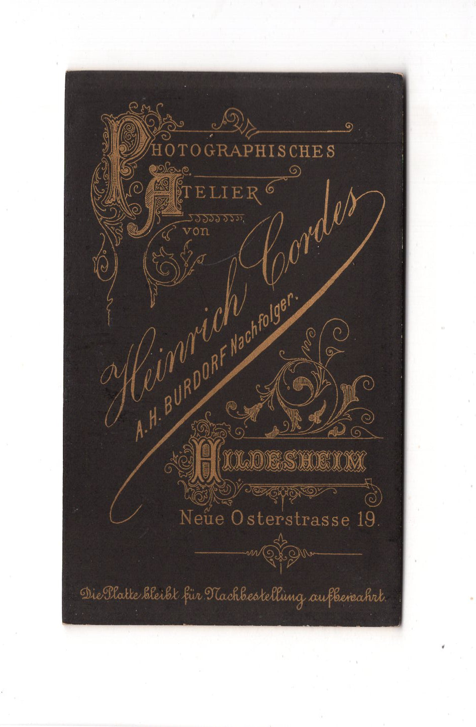Fotografie Damenportrait - Hildesheim 1880er / CDV C1-14