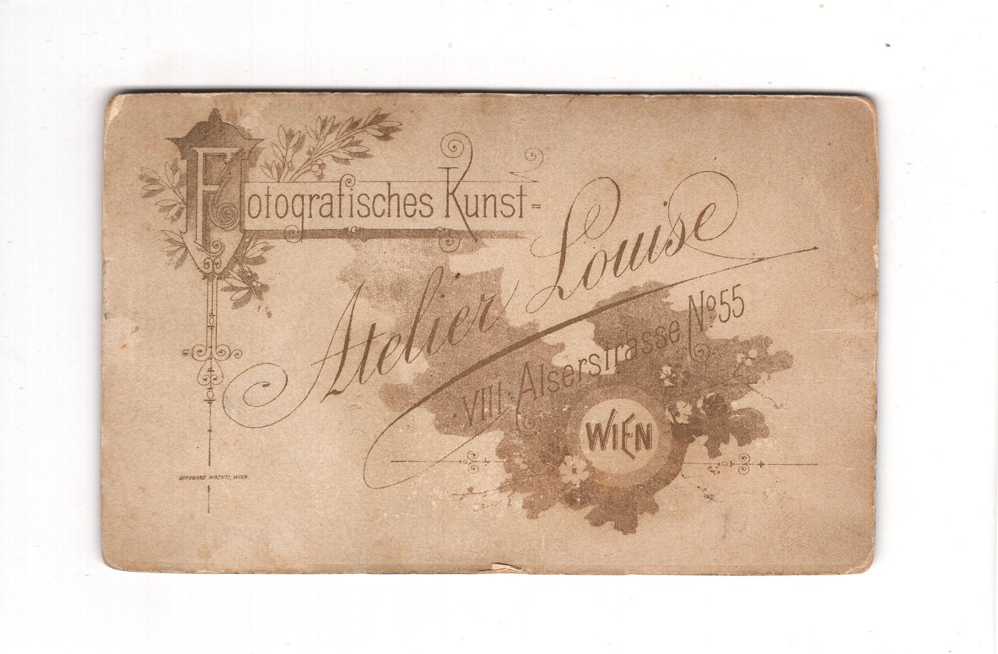Fotografie Damenportrait - Wien um 1890 / CDV C1-14