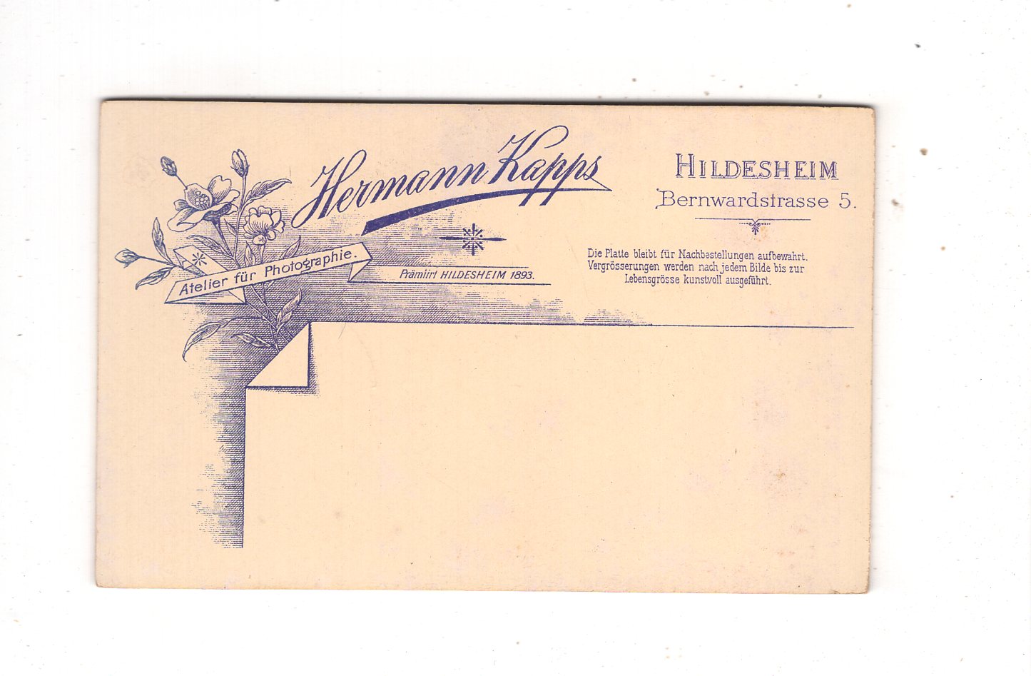Fotografie Damenportrait - Hildesheim 1890er