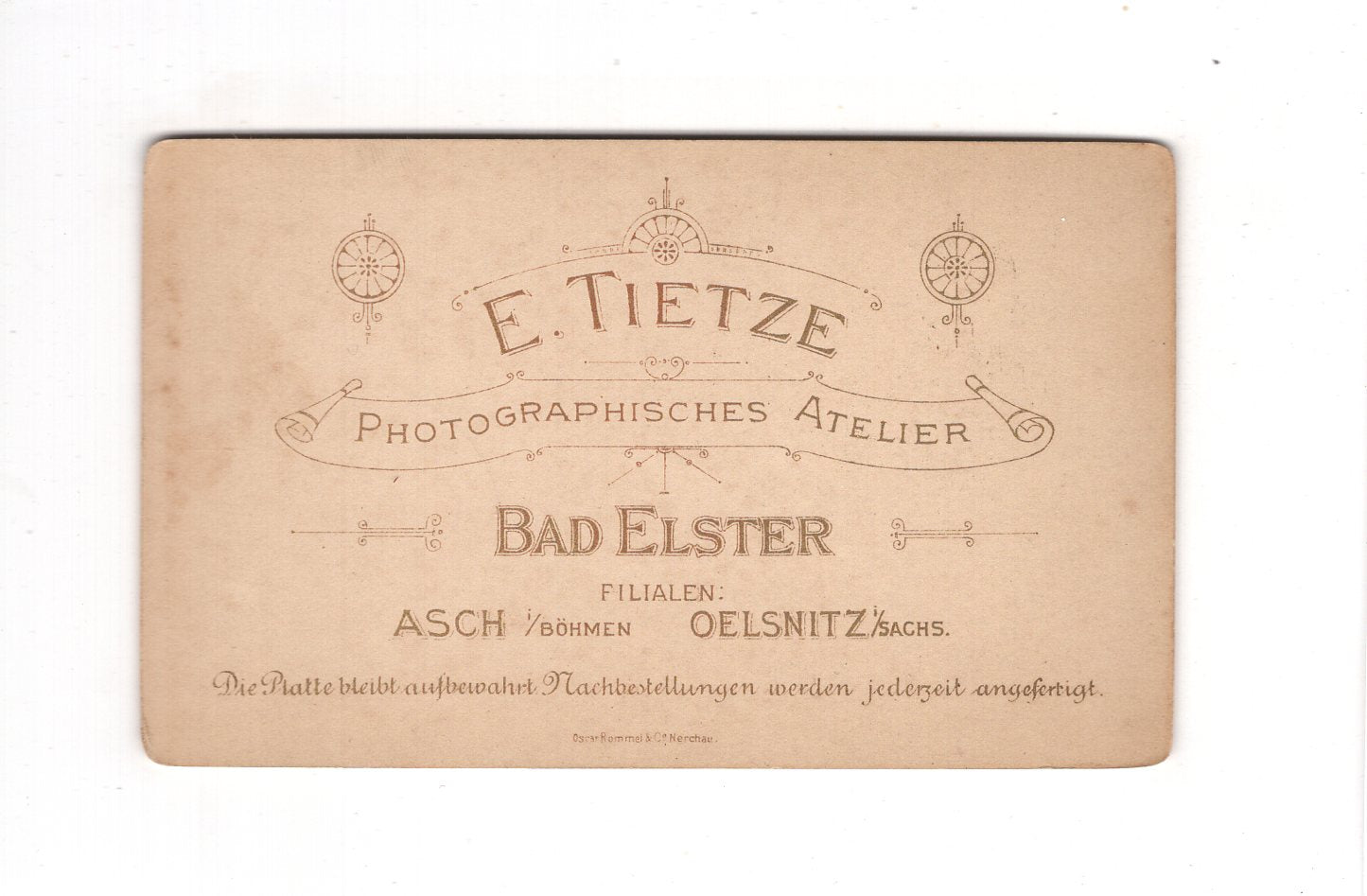 Fotografie Damenportrait mit Brille - Bad Elster 1890er / CDV C1-14