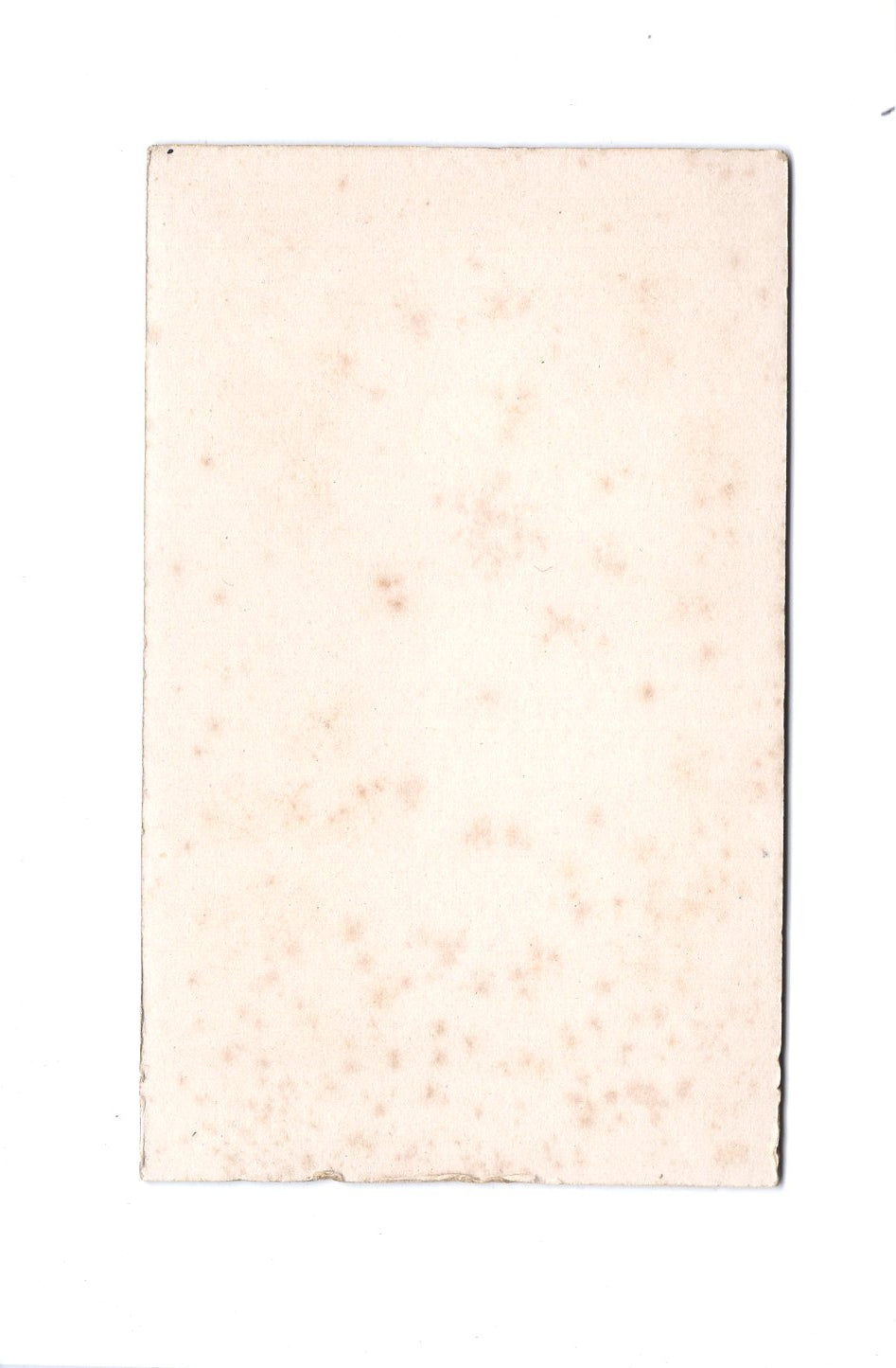 Fotografie Feine Dame - Bielefeld 1900er