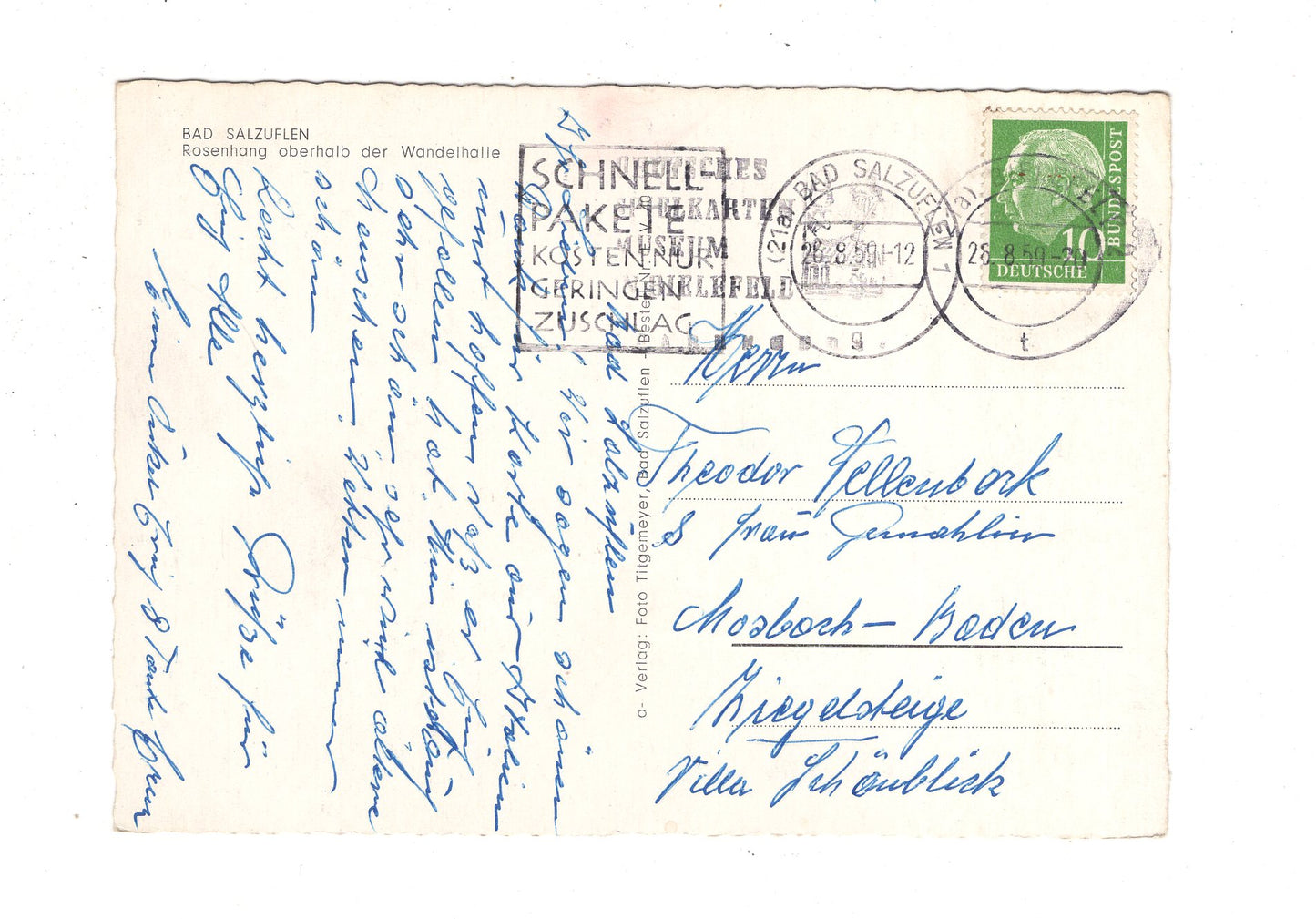 Ansichtskarte Bad Salzuflen / Rosenhang oberhalb der Wandelhalle / J1-59