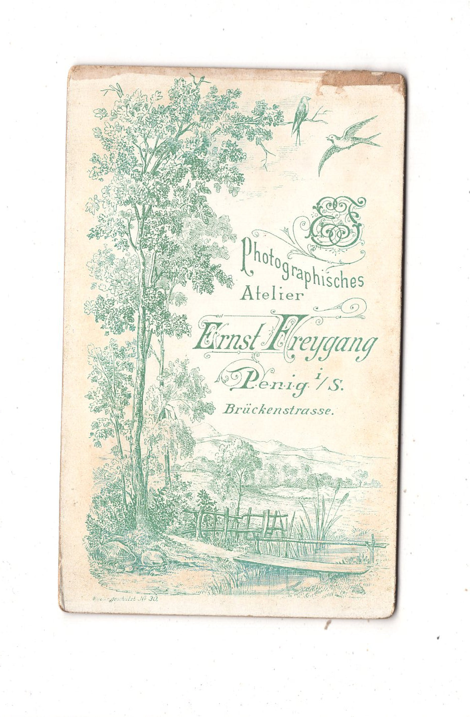 Fotografie Feines junges Mädchen - Penig 1890er / CDV N1-01