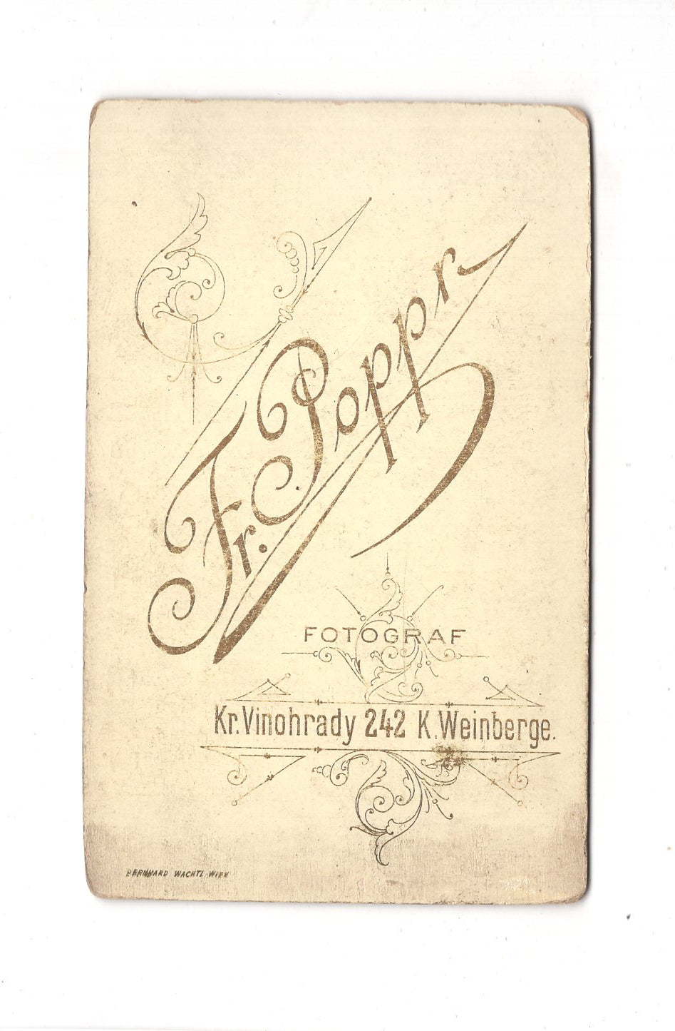 Fotografie Damenportrait - Kral Vinohrady 1880er / CDV C1-15