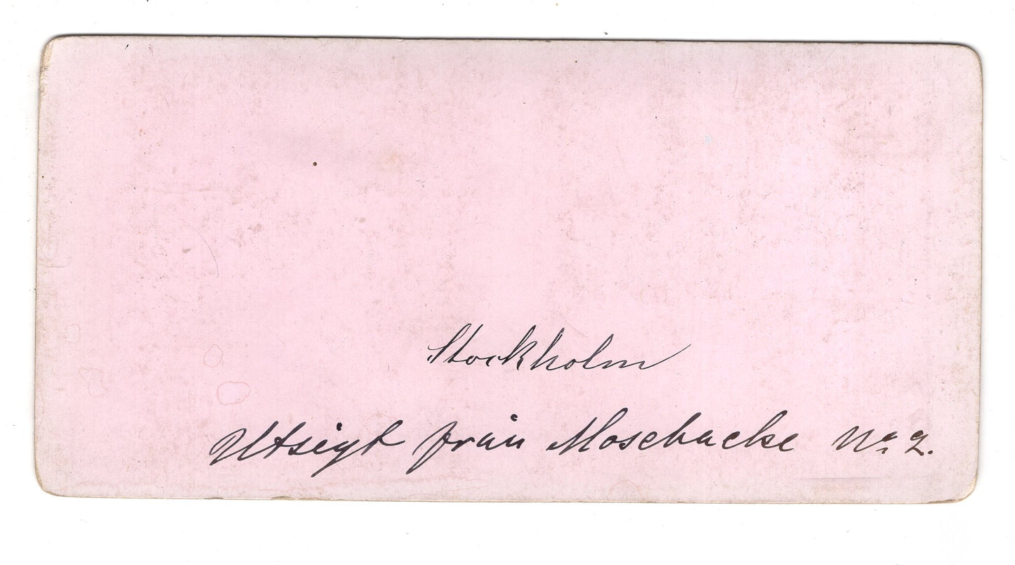Fotografie / Stereofotografie Ansicht von Stockholm / Schweden - 1880er / CAB V-23