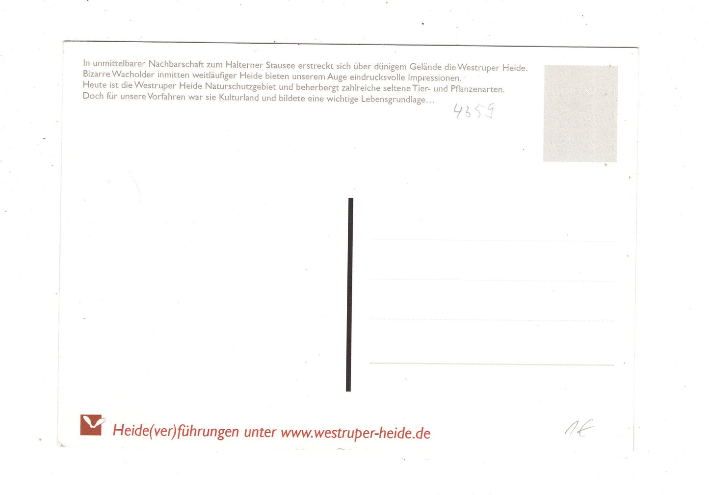 Ansichtskarte Haltern am See / Westruper Heide