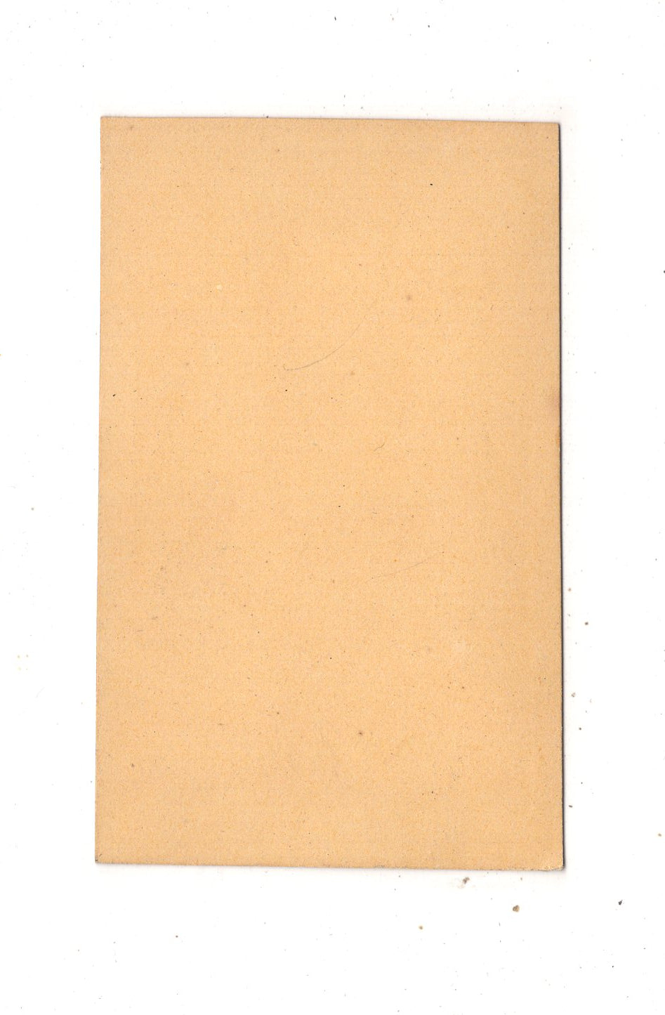 Fotografie Herrenportrait - Nürnberg um 1870