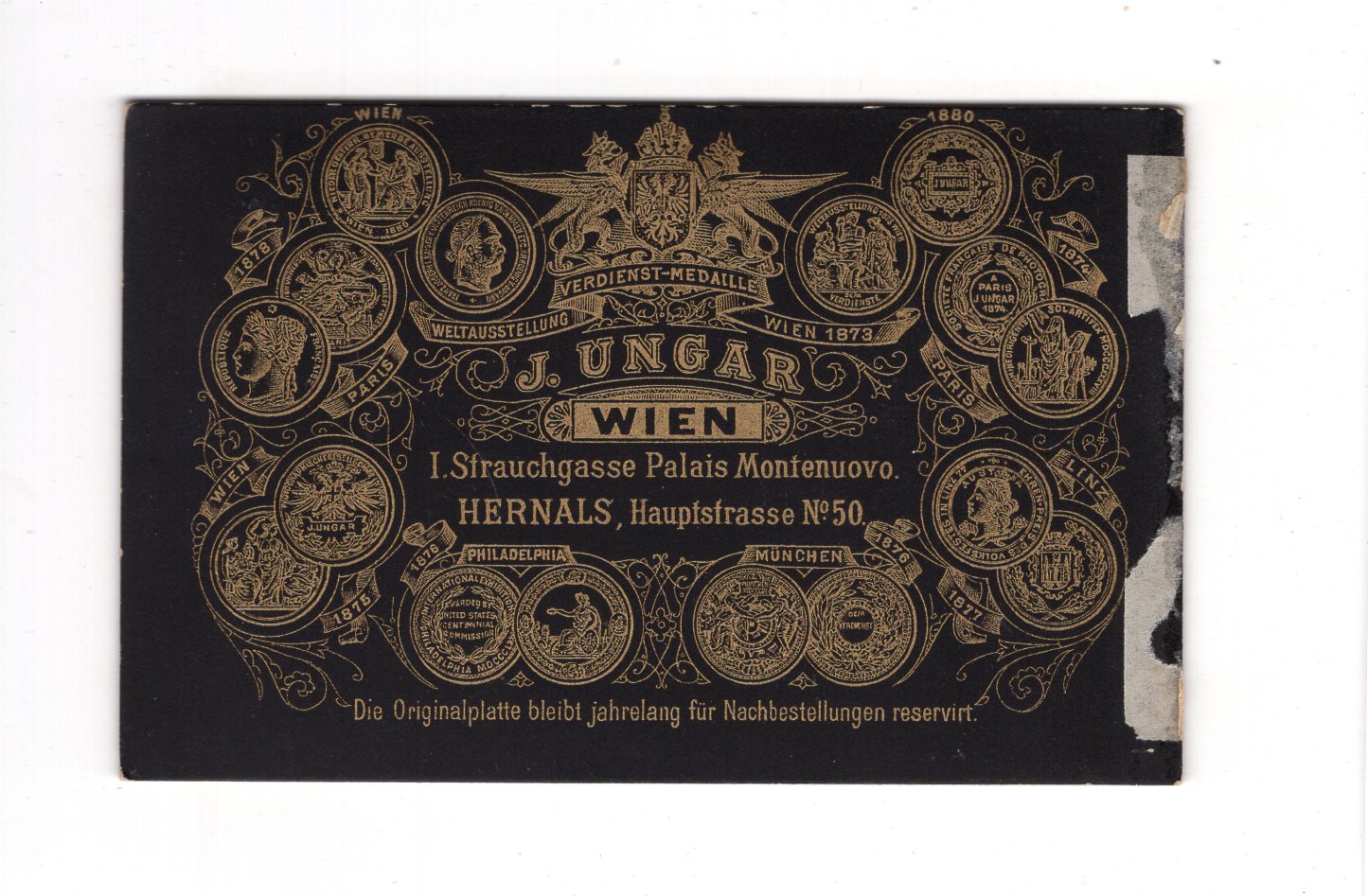 Fotografie Damenportrait - Wien 1880er / CDV C1-16