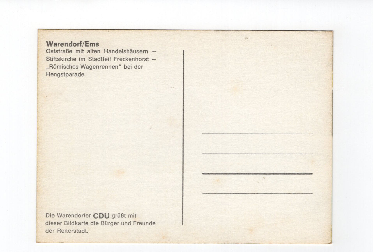 Ansichtskarte Warendorf / Ems / Hengstparade +++
