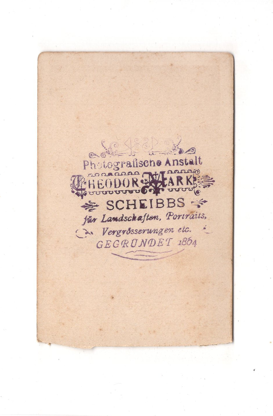 Fotografie Damenportrait - Scheibbs um 1890 / CDV C1-16