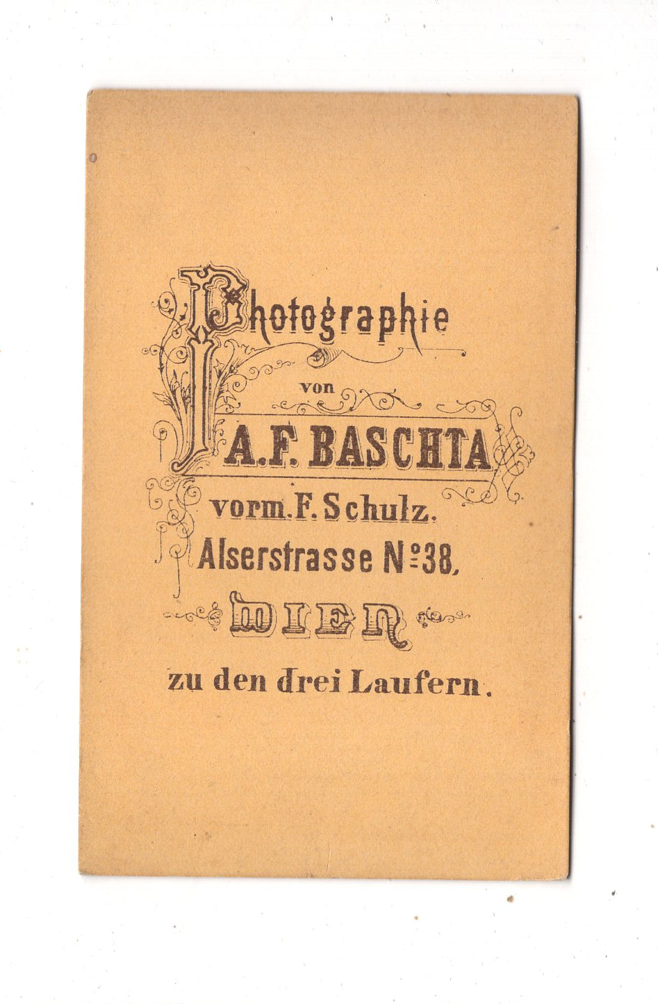 Fotografie Feiner Herr - Wien 1870er