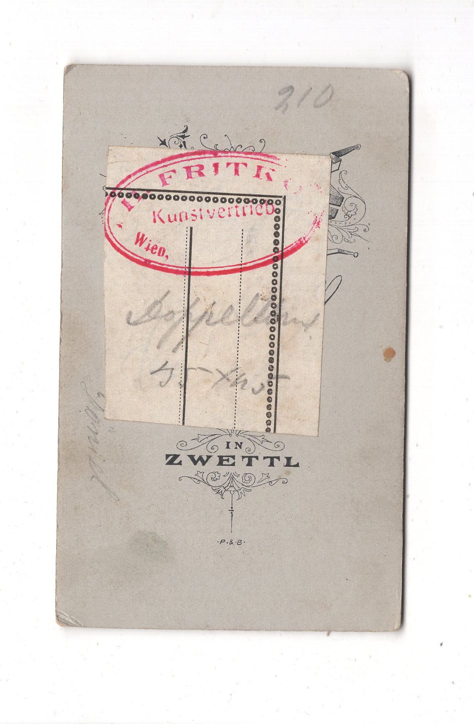 Fotografie Feines Paar - Zwettl / Niederösterreich 1900er / CDV L1-37