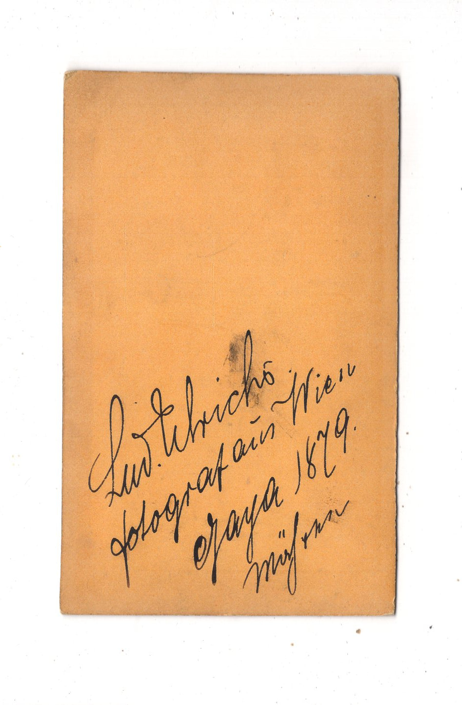 Fotografie Feine Dame / benannt - Wien 1879