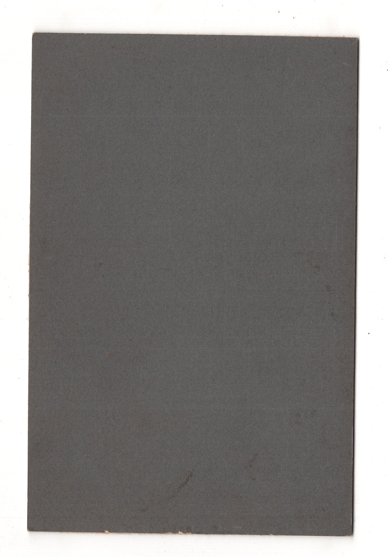 Fotografie Feine Dame - unbekannter Ort 1880er