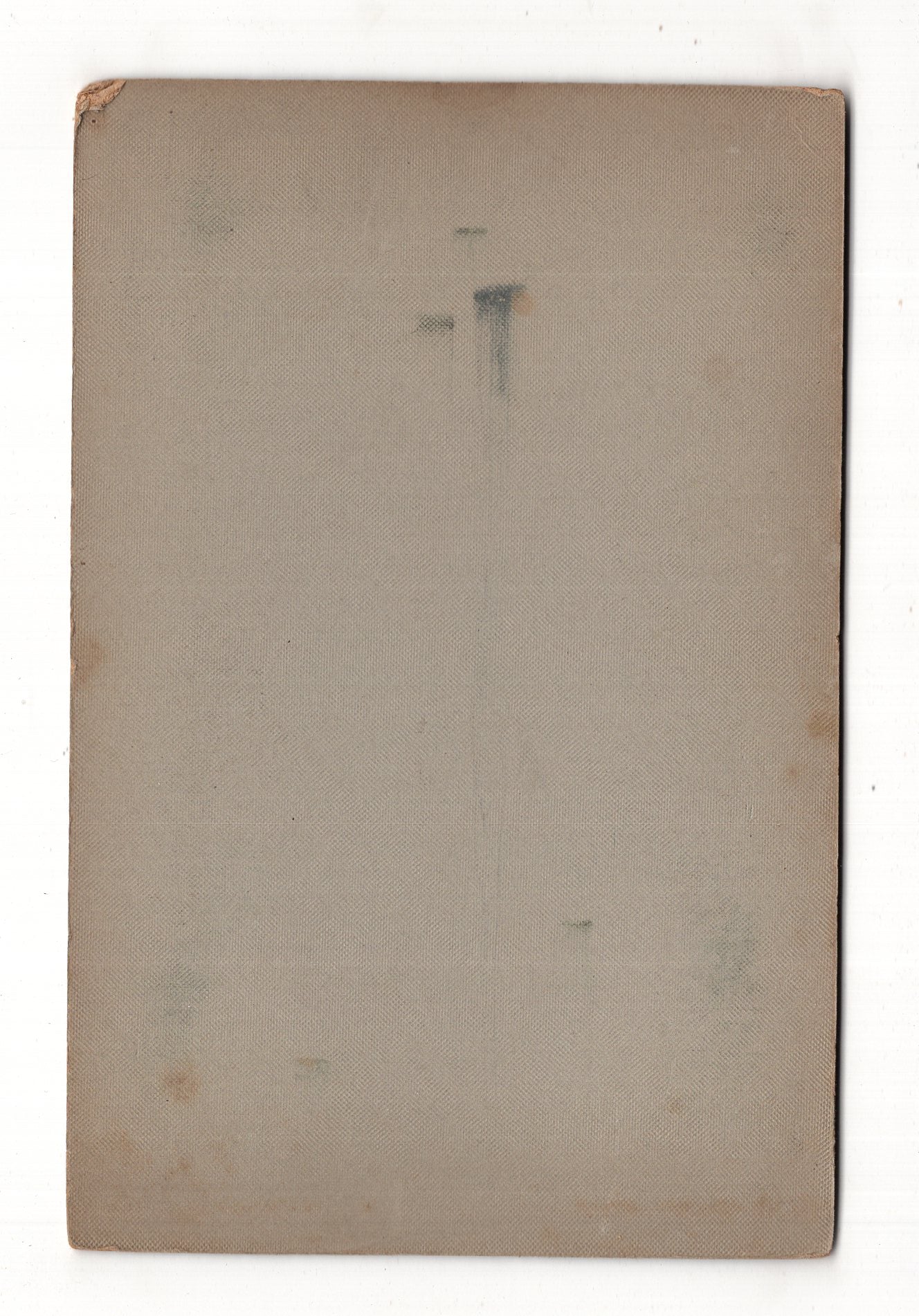 Fotografie Ältere Dame - Wald im Rheinland 1900er